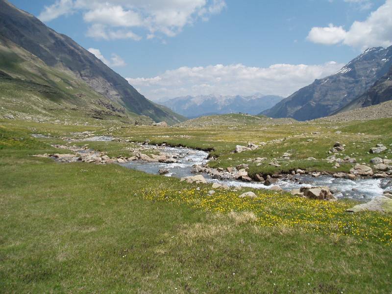 Youri - Ecrins 2005 156 
